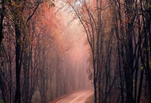 爱游戏:亚历山大32分哈腾21+8 雷霆力克火箭晋级决赛.