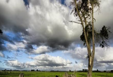 爱游戏:能否延续?英格兰连续31场世预赛不败,上次输球还是2009年.