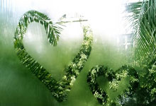 东部排名榜大爆冷:5号种子掀翻榜首,雄鹿锁定季后赛,猛龙殊死3胜.