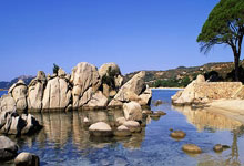 中国女战平加拿大 米利西奇磨合阵容.